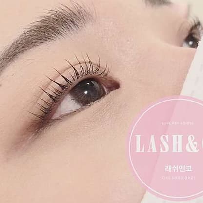 Lash & Co